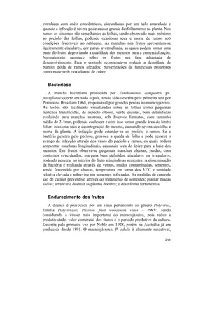 circulares com anéis concêntricos, circundadas por um halo amarelado e
quando a infecção é severa pode causar grande desfolhamento na planta. Nos
ramos os sintomas são semelhantes as folhas, sendo observado mais próximo
ao pecíolo das folhas, podendo ocasionar seca e morte de ramos sob
condições favoráveis ao patógeno. As manchas nos frutos apresentam-se
ligeiramente circulares, cor pardo avermelhada, as quais podem tomar uma
parte do fruto, depreciando a qualidade dos mesmos para a comercialização.
Normalmente acontece sobre os frutos em fase adiantada de
desenvolvimento. Para o controle recomenda-se reduzir a densidade de
plantio; poda de ramos afetados; pulverizações de fungicidas protetores
como mancozeb e oxicloreto de cobre.


   Bacteriose
    A mancha bacteriana provocada por Xanthomonas campestris pv.
passiflorae ocorre em todo o país, tendo sido descrita pela primeira vez por
Pereira no Brasil em 1968, responsável por grandes perdas no maracujazeiro.
As lesões são facilmente visualizadas sobre as folhas como pequenas
manchas translúcidas, de aspecto oleoso, verde escuras, bem delimitadas
evoluindo para manchas marrons, sob diversos formatos, com tamanho
médio de 3-4mm, podendo coalescer e com isso tomar grande área do limbo
foliar, ocasiona seca e desintegração do mesmo, causando severa desfolha e
morte da planta. A infecção pode estender-se ao pecíolo e ramos. Se a
bactéria penetra pelo pecíolo, provoca a queda da folha e pode ocorrer o
avanço da infecção através dos vasos do pecíolo e ramos, os quais podem
apresentar caneluras longitudinais, causando seca do ápice para a base dos
mesmos. Em frutos observa-se pequenas manchas oleosas, pardas, com
contornos esverdeados, margens bem definidas, circulares ou irregulares,
podendo penetrar no interior do fruto atingindo as sementes. A disseminação
da bactéria é realizada através de ventos, mudas contaminadas, sementes,
sendo favorecida por chuvas, temperatura em torno dos 35ºC e umidade
relativa elevada e sobrevive em sementes infectadas. As medidas de controle
são de caráter preventivo através do tratamento de sementes; plantar mudas
sadias; arrancar e destruir as plantas doentes; e desinfestar ferramentas.


   Endurecimento dos frutos
   A doença é provocada por um vírus pertencente ao gênero Potyvirus,
família Potyviridae, Passion fruit woodiness virus – PWV, sendo
considerada a virose mais importante do maracujazeiro, pois reduz a
produtividade, valor comercial dos frutos e o período produtivo da cultura.
Descrita pela primeira vez por Noble em 1928, porém na Austrália já era
conhecida desde 1891. O maracujá-roxo, P. edulis é altamente suscetível,

                                                                        211
 