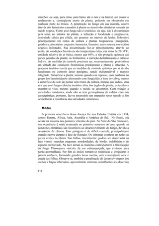 direções, ou seja, para cima, para baixo até a raiz e na lateral, até causar o
anelamento e, conseqüente morte da planta, podendo ser observado em
qualquer parte do tronco. A penetração do fungo em sua maioria, ocorre
através dos ferimentos causados à planta ou através das aberturas naturais do
tecido vegetal. Como esse fungo não é sistêmico, ou seja, não é disseminado
pela seiva no interior da planta, a infecção é localizada e progressiva,
destruindo célula por célula, até penetrar no interior do lenho. Sobrevive
principalmente em restos de cultura e plantas hospedeiras (mangueira,
goiabeira, abacateiro, coqueiro, bananeira, limoeiro, entre outras), em tecidos
vegetais infectados. Sua disseminação faz-se principalmente, através do
vento. As condições favoráveis são temperaturas altas, em torno de 27-33oC,
umidade relativa do ar baixa, menor que 60%; a não proteção química das
partes podadas da planta; os ferimentos; a nutrição desbalanceada e estresse
hídrico. As medidas de controle precisam ser, necessariamente preventivas
em virtude das condições fitotécnicas predispondo a planta à infecção. A
pesquisa também revela que as medidas de controle químico por si só não
funcionam no controle deste patógeno, sendo indispensável o manejo
integrado. Pulverizar a planta, mesmo quando em repouso, com produtos do
grupo dos benzimidazois alternando com fungicidas a base de cobre; manter
a superfície do solo do pomar sem restos da cultura, mesmo que sadios, uma
vez que esse fungo coloniza também além dos órgãos da planta, os tecidos e
mantém-se vivo, mesmo quando o tecido se decompõe. Com relação a
variedades resistentes, ainda não se tem germoplasma de videira com tais
características, portanto, faz-se necessário um empenho neste sentido a fim
de melhorar a resistência das variedades comerciais.


   Míldio
   A primeira ocorrência dessa doença foi nos Estados Unidos em 1834,
depois Europa, África, Ásia, Austrália e América do Sul. No Brasil, ela
ocorre na maioria dos pomares vitícolas do país. No Vale do São Francisco,
sua ocorrência é mais acentuada no primeiro semestre do ano, quando as
condições climáticas são favoráveis ao desenvolvimento do fungo, devido a
ocorrência de chuvas. Esse patógeno é de difícil controle, principalmente
quando ocorre durante a fase de floração. Os sintomas ocorrem em todas as
partes verdes da planta. Nas folhas, inicialmente, podem ser observadas na
face ventral manchas pequenas arredondadas, de bordas indefinidas e de
aspecto encharcado. Na face dorsal as manchas correspondem à frutificação
do fungo Plasmopara viticola, de cor esbranquiçada, que evoluem para
pardo-avermelhada. Por fim as lesões tornam-se necróticas e irregulares e
podem coalecer, formando grandes áreas mortas, com conseqüente seca e
queda das folhas. Observa-se, também a paralisação do desenvolvimento dos
cachos e bagas infectados, apresentando sintomas semelhantes aos descritos


214
 