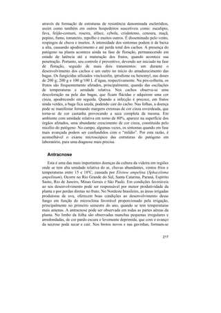 através da formação de estruturas de resistência denominada escleródios,
assim como também em outros hospedeiros suscetíveis como: eucalipto,
fava, feijão-comum, roseira, alface, cebola, crisântemo, cenoura, maçã,
pepino, fumo, tomateiro, repolho e muitos outros. É disseminado pelo vento,
respingos de chuva e insetos. A intensidade dos sintomas podem ir de baixa
a alta, causando apodrecimento e até perda total dos cachos. A presença do
patógeno na planta acontece ainda na fase de floração, permanecendo em
estado de latência até a maturação dos frutos, quando acontece sua
penetração. Portanto, seu controle é preventivo, devendo ser iniciado na fase
de floração, seguido de mais dois tratamentos: um durante o
desenvolvimento dos cachos e um outro no início do amadurecimento das
bagas. Os fungicidas utlizados vinclozolin, iprodione ou benomyl, nas doses
de 200 g; 200 g e 100 g/100 L d’água, respectivamente. Na pós-colheita, os
frutos são frequentemente afetados, principalmente, quando das oscilações
de temperaturas e umidade relativa. Nos cachos observa-se uma
descoloração na pele das bagas, que ficam flácidas e adquirem uma cor
cinza, apodrecendo em seguida. Quando a infecção é precoce, em frutos
ainda verdes, a baga fica azeda, podendo cair do cacho. Nas folhas, a doença
pode se manifestar formando margens extensas de cor cinza esverdeada, que
torna-se de cor castanha provocando a seca completa da mesma. Em
ambiente com umidade relativa em torno de 80%, aparece na superfície dos
órgãos afetados, uma abundante crescimento de cor cinza, constituída pelo
micélio do patógeno. No campo, algumas vezes, os sintomas quando em fase
mais avançada podem ser confundidos com o “míldio”. Por esta razão, é
aconselhável o exame microscópico das estruturas do patógeno em
laboratório, para uma diagnose mais precisa.


   Antracnose
   Esta é uma das mais importantes doenças da cultura da videira em regiões
onde se tem alta umidade relativa do ar, chuvas abundantes, ventos frios e
temperaturas entre 15 e 18ºC, causada por Elsinoe ampelina (Sphaceloma
ampelinum). Ocorre no Rio Grande do Sul, Santa Catarina, Paraná, Espírito
Santo, Rio de Janeiro, Minas Gerais e São Paulo. Em condições favoráveis
ao seu desenvolvimento pode ser responsável por menor produtividade da
planta e por perdas diretas no fruto. No Nordeste brasileiro, as áreas irrigadas
produtoras de uva, oferecem boas condições ao desenvolvimento desse
fungo em função do microclima favorável proporcionado pela irrigação,
principalmente no primeiro semestre do ano, quando se tem temperaturas
mais amenas. A antracnose pode ser observada em todas as partes aéreas da
planta. No limbo da folha são observadas manchas pequenas irregulares e
arredondadas, de cor pardo escura e levemente deprimida, que com o avanço
da necrose pode secar e cair. Nos brotos novos e nas gavinhas, formam-se


                                                                            217
 