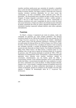 manchas necróticas pardo-escura que aumentam de tamanho e progridem
para o centro da lesão aprofundando-se e transformando-se em cancros com
bordos levemente salientes. Nas bagas a doença é observada sob a forma de
manchas circulares necróticas deprimidas, de cor cinza escuro não
centralizadas e um halo avermelhado, sendo conhecida como “olho de
passarinho”. São disseminados pelos respingos de água, orvalho, chuvas e da
irrigação. O manejo integrado e preventivo é sempre o melhor caminho a
seguir a fim de se obter maiores chances de sucesso, minimizando os
prejuízos econômicos tais como: recuperação da casca ou córtex do tronco
sem causar ferimentos; a limpeza da cultura com retirada de partes infectadas
da planta; eliminação dos restos de cultura; aplicação de fungicidas como o
clorotalonil, benomyl, mancozeb, tiofanato metilico, entre outros, aplicados
alternadamente.


   Fusariose
   No Brasil, a doença é responsável por morte de plantas, tendo sido
constatada em parreirais nos vários Estados produtores. Sua primeira
ocorrência natural foi em 1940 no Rio Grande do Sul, mas somente em 1953
o fungo Fusarium oxysporum f.sp. herbemontis foi isolado e identificado
como agente causal. Uma das primeiras referências a fusariose da videira,
em outros países foi feita por Rives em 1924 na França e em 1929 na União
Soviética. No Rio Grande do Sul, a incidência de fusariose é alta na maioria
das variedades cultivada, a exemplo da Herbemot altamente suscetível. O
mesmo tem sido observado em Santa Catarina. Nos Estados de Pernambuco,
Bahia, Piauí, Minas Gerais e de Mato Grosso, a fusariose pode vir a ser
problema, uma vez que tem-se registro de ocorrência desta em 16 amostras
de parrerais, entre 359 amostras analisadas no período de 1998 e 1999, nos
laboratórios da Embrapa/Semi-Árido. Externamente, a planta infectada pode
apresentar vários sintomas como murchas vasculares, redução no
crescimento, amarelecimento, seca dos bordos, queda das folhas e
escurecimento vascular. Como sintomas principais, tem-se a seca rápida dos
bordos das folhas, o escurecimento da região dos vasos condutores e a morte
dos ramos, culminando com a morte da planta. As folhas da planta infectada,
chegam a cair, e nesta situação, o patógeno emerge do hospedeiro através de
lentiolas na superfície da planta, produzindo esporodoquio de coloração
salmão ou alaranjada, quando em condições de alta umidade. Este fato pode
suportar a hipótese de disseminação aérea de F. oxysporum f.sp.
herbemontis.


   Cancro bacteriano



218
 