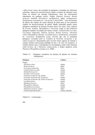 e Rhizoctonia solani, são exemplos de patógenos veiculados por diferentes
substratos. Apesar de existirem poucos relatos a respeito de sementes como
fontes de inóculo em sistemas hidropônicos, estas são efetivamente
importantes em qualquer cultivo. Fungos (Septoria lactucae, Bremia
lactucae), bactérias (Clavibacter michiganensis subsp. michiganensis,
Xanthomonas axonopodis pv. vesicatoria) e vírus (LMV – vírus do mosaico
da alface) são capazes de causar doenças de parte aérea já nos primeiros
estádios de desenvolvimento da planta. Mudas infectadas podem conter
patógenos causadores de doenças de parte aérea, tais como, vírus, espécies
de Erwinia, Pythium, Phytophthora e Fusarium, sendo os dois primeiros
patógenos também veiculados por insetos vetores. Colletotrichum coccodes,
Cercospora longissima, Septoria lactucae, Bremia lactucae, Alternaria
solani, Phytophthora infestans, Leveillula taurica, Xanthomonas axonopodis
pv. vesicatoria, Stemphylium solani, Erwinia spp. são os principais
patógenos veiculados pelo ar. Conídios de Fusarium oxysporum f. sp.
radicis-lycopersici disseminados pelo ar/vento foram capazes de infestar a
solução nutritiva provocando podridão da raiz e do colo em tomateiro. A
solução nutritiva que é considerada livre de patógeno, pode conter bactérias
como Erwinia. sp. e Ralstonia solanacearum, e fungos aquáticos como
Phytium e Phytophthora (Lopes et al., 2000).


Tabela 9.1 – Patógenos causadores de doenças de plantas em sistemas
              hidropônicos.

Patógeno                                             Cultura
Fungos
 Alternaria solani                                   tomate
 Bremia lactucae                                     alface
 Cercospora longissima                               alface
 Colletotrichum coccodes                             tomate
 Didymella lycopersici                               tomate
 Erysiphe cichoracearum                              pepino
 Fusarium oxysporum f.sp. dianthi                    cravo
 Fusarium oxysporum f.sp. lycopersici                tomate
 Fusarium oxysporum f.sp. radicis-lycopersici        tomate
 Leveillula taurica                                  tomate
 Olpidium brassicae                                  alface
 Phytophthora infestans                              tomate
 Phytophthora nicotianae                             tomate
 Plasmopara lactucae-radicis                         alface
 Pythium aphanidermatum                              tomate, espinafre



Tabela 9.1 – Continuação ...

226
 