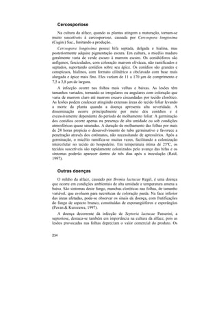 Cercosporiose
   Na cultura da alface, quando as plantas atingem a maturação, tornam-se
muito suscetíveis à cercosporiose, causada por Cercospora longissima
(Cugini) Sac., limitando a produção.
   Cercospora longissima possui hifa septada, delgada e hialina, mas
posteriormente adquire pigmentação escura. Em cultura, o micélio maduro
geralmente varia de verde escuro à marrom escuro. Os conidióforos são
anfígenos, fasciculados, com coloração marrom olivácea, não ramificados e
septados, suportando conídios sobre seu ápice. Os conídios são grandes e
conspícuos, hialinos, com formato cilíndrico a obclavado com base mais
alargada e ápice mais fino. Eles variam de 11 a 170 µm de comprimento e
7,5 a 3,8 µm de largura.
    A infecção ocorre nas folhas mais velhas e baixas. As lesões têm
tamanhos variados, tornando-se irregulares ou angulares com coloração que
varia de marrom claro até marrom escuro circundadas por tecido clorótico.
As lesões podem coalescer atingindo extensas áreas do tecido foliar levando
a morte da planta quando a doença apresenta alta severidade. A
disseminação ocorre principalmente por meio dos conídios e é
excessivamente dependente do período de molhamento foliar. A germinação
dos conídios ocorre apenas na presença de alta umidade ou sob condições
atmosféricas quase saturadas. A duração de molhamento das folhas por mais
de 24 horas propicia o desenvolvimento do tubo germinativo e favorece a
penetração através dos estômatos, não necessitando de apressórios. Após a
germinação, o micélio ramifica-se muitas vezes, facilitando a colonização
intercelular no tecido do hospedeiro. Em temperatura ótima de 25ºC, os
tecidos suscetíveis são rapidamente colonizados pelo avanço das hifas e os
sintomas poderão aparecer dentro de três dias após a inoculação (Raid,
1997).


   Outras doenças
   O míldio da alface, causado por Bremia lactucae Regel, é uma doença
que ocorre em condições ambientais de alta umidade e temperatura amena a
baixa. São sintomas deste fungo, manchas cloróticas nas folhas, de tamanho
variável, que evoluem para necróticas de coloração parda. Na face inferior
das áreas afetadas, pode-se observar os sinais da doença, com frutificações
do fungo de aspecto branco, constituídas de esporangióforos e esporângios
(Pavan & Kurozawa, 1997).
   A doença decorrente da infecção de Septoria lactucae Passerini, a
septoriose, destaca-se também em importância na cultura da alface, pois as
lesões provocadas nas folhas depreciam o valor comercial do produto. Os

234
 