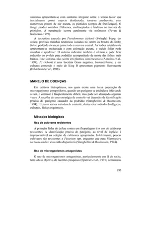 sintomas apresentam-se com contorno irregular sobre o tecido foliar que
inicialmente possui aspecto desidratado, torna-se pardacento, com
numerosos pontos de cor escura, os picnídios (corpos de frutificação). O
fungo produz conídios filiformes, multiseptados e hialinos no interior de
picnídios. A penetração ocorre geralmente via estômatos (Pavan &
Kurozawa,1997).
    A bacteriose causada por Pseudomonas cichorii (Swingle) Stapp. em
alface, provoca manchas necróticas isoladas no centro ou bordos do limbo
foliar, podendo alcançar quase toda a nervura central. As lesões inicialmente
apresentam-se encharcada e com coloração escura, o tecido foliar pode
murchar e apodrecer. O sistema radicular também é afetado e pode ficar
reduzido ou evoluir para podridão acompanhado de morte das folhas mais
baixas. Este sintoma, não ocorre em plantios convencionais (Almeida et al.,
1999). P. cichorii é uma bactéria Gram negativa, bastonetiforme, e em
culturas contendo o meio de King B apresentam pigmento fluorescente
(Hildebrand et al., 1988).



MANEJO DE DOENÇAS
   Em cultivos hidropônicos, nos quais existe uma baixa população de
microrganismos competidores, quando um patógeno se estabelece infectando
a raiz, o controle é freqüentemente difícil, mas pode ser alcançado algumas
vezes. A escolha de uma estratégia de controle vai depender da identificação
precisa do patógeno causador da podridão (Stanghellini & Rasmussen,
1994). Existem vários métodos de controle, dentre eles: métodos biológicos,
culturais, físicos e químicos.


   Métodos biológicos
   Uso de cultivares resistentes

   A primeira linha de defesa contra um fitopatógeno é o uso de cultivares
resistentes. A identificação precisa do patógeno, ao nível de espécie, é
imprescindível na seleção de cultivares apropriadas. Infelizmente, poucas
cultivares são resistentes a Fusarium spp. enquanto que para Plasmopara
lactucae-radicis elas estão disponíveis (Stanghellini & Rasmussen, 1994).

   Uso de microrganismos antagonistas

   O uso de microrganismos antagonistas, particularmente em lã de rocha,
tem sido o objetivo de recentes pesquisas (Eparvier et al., 1991; Lemanceau


                                                                         235
 