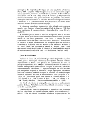 replicação e das propriedades biológicas em vírus de plantas (Harrison e
Mayo, 1983; Motoyishi, 1985). Protoplastos de cevada foram utilizados para
estudos da síntese, acúmulo e encapsidação de partículas do Brome Mosaic
vírus (Loesh-Fries & Hall, 1980). Spencer & Kimmins, (1969) verificaram
em calos de cenoura e fumo, que o movimento das partículas virais de uma
célula para outra se da através de estruturas denominadas de plasmodematas,
e Van Lent et al. (1990) localizaram duas proteínas de movimento nestas
estruturas em vírus do mosaico severo do caupi.
    A cultura de protoplastos também tem sido utilizada nos estudos de
relações entre fungos e células hospedeiras (Earle & Graven, 1982) bem
como na obtenção de plantas resistentes a fungos, bactérias e vírus (Duval et
al., 1998).
    A transformação de plantas a partir de protoplastos, tem se mostrado
vantajosa, pois as plantas transformadas não apresentam quimeras, por serem
obtidas de um único protoplasto. Além disso, a seleção da planta
transformada é realizada após o início da cultura, reduzindo a probabilidade
de obtenção de falsos transformantes. Os protoplatos têm sido usados na
transformação de plantas, tanto via Agrobacterium tumfaciens (Carneiro et
al., 1998), como por eletroporação (Reich & Aragão, 1998). Como
desvantagem tem-se a dificuldade de obtenção de uma nova planta a partir
de um protoplasto (Brasileiro & Dusi, 1999; Brasileiro & Cançado, 2000).

   Fusão de protoplastos

    No início do século XX, foi constatado que células desprovidas de parede
celular, quando em soluções com sais de cálcio podiam entrar em contato e
eventualmente se fundir. Esse processo foi denominado de fusão de
protoplastos (Ramalho et al., 2000) e é amplamente utilizado na obtenção de
híbridos interespecíficos entre espécies selvagens e cultivadas, geralmente
autoincompatíveis sexualmente. As espécies selvagens tem sido utilizadas
para introgressão de genes de resistência a pragas e patógenos em espécies
cultivadas. Em batata, espécies selvagens de solanum são empregadas para
introduzir resistência ao vírus do enrolamento da folha (Helgeson et al.,
1986); em Lycopersicon, genes para resistência a insetos(Barbara et al.,
1995; Barona et al., 1989; Schuster & Stone, 1979), virus (Hassan et al.,
1984; Pilowsky & Cohen, 1990) e nematóides (Yaghoobi et al., 1995).
   No Brasil esta técnica é empregada com sucesso no melhoramento
genético do fungo Metarhizium anisopliae, utilizado no controle biológico
de insetos (Azevedo, 1997).
   Para que ocorra a fusão dos protoplastos, é necessário o uso de choque
elétrico, eletrofusão, ou agentes químicos como o polietilenoglicol-PEG
(Vieira, 1997). No caso da eletrofusão, submete-se os protoplastos a um

                                                                         247
 