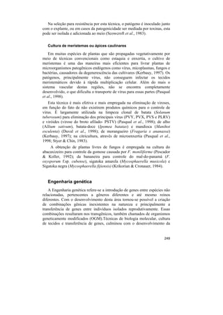 Na seleção para resistência por esta técnica, o patógeno é inoculado junto
com o explante, ou em casos da patogenicidade ser mediada por toxinas, esta
pode ser isolada e adicionada ao meio (Scowcroft et al., 1983).

   Cultura de meristemas ou ápices caulinares

    Em muitas espécies de plantas que são propagadas vegetativamente por
meio de técnicas convencionais como estaquia e enxertia, o cultivo de
meristemas é uma das maneiras mais eficientes para livrar plantas de
microorganismos patogênicos endógenos como vírus, micoplasmas, fungos e
bactérias, causadores da degenerescência das cultivares (Kerbauy, 1997). Os
patógenos, principalmente vírus, não conseguem infectar os tecidos
meristemáticos devido á rápida multiplicação celular. Além do mais o
sistema vascular destas regiões, não se encontra completamente
desenvolvido, o que dificulta o transporte de vírus para essas partes (Pasqual
et al., 1998).
   Esta técnica é mais efetiva e mais empregada na eliminação de viroses,
em função do fato de não existirem produtos químicos para o controle de
vírus. É largamente utilizada na limpeza clonal de batata (Solanum
tuberosum) para eliminação dos principais vírus (PVY, PVX, PVS e PLRV)
e viróides (virose do broto afilado- PSTV) (Pasqual et al., 1998); de alho
(Allium sativum), batata-doce (Ipomea batatas) e mandioca (Manihot
esculenta) (Duval et al., 1998); de morangueiro (Fragaria x ananassa)
(Kerbauy, 1997); na citricultura, através de microenxertia (Pasqual et al.,
1998; Styer & Chin, 1983).
     A obtenção de plantas livres de fungos é empregada na cultura do
abacaxizeiro para controle da gomose causada por F. moniliforme (Pescador
& Koller, 1992); da bananeira para controle do mal-do-panamá (F.
oxysporum f.sp. cubense), sigatoka amarela (Mycosphaerella musicola) e
Sigatoka negra (Mycosphaerella fijiensis) (Krikorian & Cronauer, 1984).


   Engenharia genética
    A Engenharia genética refere-se a introdução de genes entre espécies não
relacionadas, pertencentes a gêneros diferentes e até mesmo reinos
diferentes. Com o desenvolvimento desta área tornou-se possível a criação
de combinações gênicas inexistentes na natureza e principalmente a
transferência de genes entre indivíduos isolados reprodutivamente. Essas
combinações resultaram nos transgênicos, também chamados de organismos
geneticamente modificados (OGM).Técnicas de biologia molecular, cultura
de tecidos e transferência de genes, culminou com o desenvolvimento da


                                                                          249
 