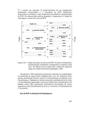 0
 C a enzima era inativada. O desenvolvimento de um equipamento
denominado termociclador e a descoberta de DNA polimerases
termoestáveis (resistentes a altas temperaturas) possibilitou a popularização
da PCR. No termociclador pode-se programar a temperatura e o tempo de
cada etapa e o número de ciclos da PCR.

                                                                  5’
                                Região a lvo
                   5’                                        3’   3’                                    5’
                                                                         94 0C    Separação das fitas
                                                                  5’                                    3’
                        94 0C          Separação das fitas
                   5’                                        3’

                                                                  3’                                    5’
                                                                       37-60 0C   Ane lamento dos
    1 0 ciclo




                                                                                                              2 0 ciclo
                                        Ane lamento dos                               prim ers
                        37-60 0C          pri mers                5’                                    3’

                  5’                                         3’



                                                                  3’                                    5’
                        72 0C          Ex tensão dos prime rs
                                         (polimeriza çã o)                                              3’
                                                                  5’
                  5’                                         3’


                                                             5’
                                                                  3’                                    5’




Figura 12.6 – Etapas principais da técnica de PCR. Os passos fundamentais
              de desnaturação, anelamento e alongamento se repetem a cada
              ciclo. Ao final do ciclo de cada ciclo o número de cópias da
              região alvo dobra (Ferreira & Grattapaglia, 1996).


    Inicialmente a DNA polimerase termoestável utilizada nas amplificações
era purificada de uma bactéria adaptada para viver em ambientes muito
quentes, denominada Thermus aquaticus. Essa polimerase é conhecida como
Taq polimerase. Atualmente a enzima comercial é purificada de Escherichia
coli recombinante expressando o gene que codifica para Taq polimerase. Há
também outras DNA polimerases termoestáveis provenientes de outros
organismos como Pfu polimerase de Pirococcus furiosus e Tth polimerase de
T. thermofilus.

                Uso da PCR na detecção de fitopatógenos



                                                                                                        297
 