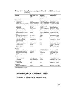 Tabela 12.1 – Exemplos de fitopatógenos detectados via PCR ou técnicas
              derivadas.
Patógeno                          Fonte do DNA ou         Região de               Bibliografia
                                  RNA                     anelamento do
                                                          primer
Vírus e viróide
  Closterovírus*                  videira                 Homólogo a Hsp70      Routh et al. (1998)
  Geminivírus                     vetor (mosca branca)    Gene da capa protéica Rosell et al. (1998)
  Tomato yellow leaf curl virus   tomate e vetor (mosca   Gene da capa protéica Atzmon et al. (1998)
                                  branca)
  Tospovírus*                     tomateiro               RNAs: S, M e L          Eiras (1997)
  Badnavírus                      Ribes sp.               ORF III                 Jones et al. (2001)
  Citrus tristeza vírus*          vetor (afídeo)          Gene da capa protéica   Mehta et al. (1997)
  Apple Steam Grooving            macieira                Gene da capa protéica   Marinho et al. (1996)
  Virus*
  Avocado Sunblotch Viroid*       abateiro                Gene da capa protéica Schnell et al. (1997)
Fungos
  Plasmodiophora brassicae        solo e água             rDNA                    Faggian et al. (1999)
  Diaporthe phaseolorum           soja                    ITS                     Zhang et al. (1999)
  Phomopsis longicolla
  Fusarium culmorum,              culturas puras          ITS                     Schilling et al. (1996)
  F. graminearum
  F. avenacearum
  Phytophthora infestans          batata e tomate         ITS                     Judelson et al. (2000)
  Ustilago hordei                 esporos                 ITS                     Willits & Sherwood
                                                                                  (1999)
  Polymyxa betae                  beterraba                                       Mutasa et al. (1996)
Bactérias
 Clavibacter michiganensis        tomateiro               REP, ERIC, BOX          Lows et al. (1998)
 Xanthomonas campestris           gramíneas               ITS                     Maes et al. (1996)
 Acidovorax avenae subsp.         melancia                RDNA 16S                Walcott & Gitaitis
 citrulli                                                                         (2000)
 Ralstonia solanacearum           tomateiro               rDNA                    Seal et al. (1992)
Fitoplasma
  Flavescence dorée               vetor (cigarrinha)      ITS                     Tanne et al. (1999)
  Fitoplasmas                     vários hospedeiros      rDNA                    Gudersen & Lee (1996)
Espiroplasma
  Espiroplasma                    milho                   ITS                     Barros et al. (2001)
Nematóide
 Meloidogyne chitwood             batateira               rDNA                    Szalanski et al. (2001)
*Detecção baseada em RT-PCR.




    HIBRIDIZAÇÃO DE ÁCIDOS NUCLÉICOS

    Princípios da hibridização de ácidos nucléicos




                                                                                                       299
 