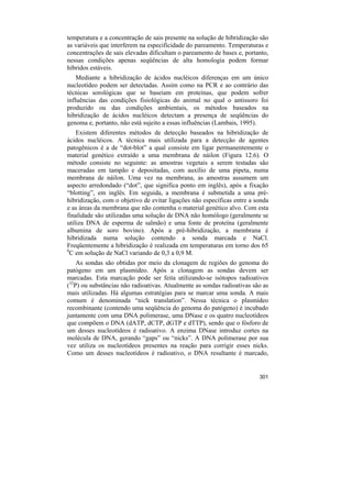 temperatura e a concentração de sais presente na solução de hibridização são
as variáveis que interferem na especificidade do pareamento. Temperaturas e
concentrações de sais elevadas dificultam o pareamento de bases e, portanto,
nessas condições apenas seqüências de alta homologia podem formar
híbridos estáveis.
    Mediante a hibridização de ácidos nucléicos diferenças em um único
nucleotídeo podem ser detectadas. Assim como na PCR e ao contrário das
técnicas sorológicas que se baseiam em proteínas, que podem sofrer
influências das condições fisiológicas do animal no qual o antissoro foi
produzido ou das condições ambientais, os métodos baseados na
hibridização de ácidos nucléicos detectam a presença de seqüências do
genoma e, portanto, não está sujeito a essas influências (Lambais, 1995).
    Existem diferentes métodos de detecção baseados na hibridização de
ácidos nucléicos. A técnica mais utilizada para a detecção de agentes
patogênicos é a de “dot-blot” a qual consiste em ligar permanentemente o
material genético extraído a uma membrana de náilon (Figura 12.6). O
método consiste no seguinte: as amostras vegetais a serem testadas são
maceradas em tampão e depositadas, com auxílio de uma pipeta, numa
membrana de náilon. Uma vez na membrana, as amostras assumem um
aspecto arredondado (“dot”, que significa ponto em inglês), após a fixação
“blotting”, em inglês. Em seguida, a membrana é submetida a uma pré-
hibridização, com o objetivo de evitar ligações não específicas entre a sonda
e as áreas da membrana que não contenha o material genético alvo. Com esta
finalidade são utilizadas uma solução de DNA não homólogo (geralmente se
utiliza DNA de esperma de salmão) e uma fonte de proteína (geralmente
albumina de soro bovino). Após a pré-hibridização, a membrana é
hibridizada numa solução contendo a sonda marcada e NaCl.
Freqüentemente a hibridização é realizada em temperaturas em torno dos 65
0
  C em solução de NaCl variando de 0,3 a 0,9 M.
    As sondas são obtidas por meio da clonagem de regiões do genoma do
patógeno em um plasmídeo. Após a clonagem as sondas devem ser
marcadas. Esta marcação pode ser feita utilizando-se isótopos radioativos
(32P) ou substâncias não radioativas. Atualmente as sondas radioativas são as
mais utilizadas. Há algumas estratégias para se marcar uma sonda. A mais
comum é denominada “nick translation”. Nessa técnica o plasmídeo
recombinante (contendo uma seqüência do genoma do patógeno) é incubado
juntamente com uma DNA polimerase, uma DNase e os quatro nucleotídeos
que compõem o DNA (dATP, dCTP, dGTP e dTTP), sendo que o fósforo de
um desses nucleotídeos é radioativo. A enzima DNase introduz cortes na
molécula de DNA, gerando “gaps” ou “nicks”. A DNA polimerase por sua
vez utiliza os nucleotídeos presentes na reação para corrigir esses nicks.
Como um desses nucleotídeos é radioativo, o DNA resultante é marcado,


                                                                         301
 