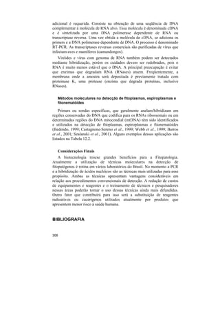 adicional é requerida. Consiste na obtenção de uma seqüência de DNA
complementar à molécula de RNA alvo. Essa molécula é denominada cDNA
e é sintetizada por uma DNA polimerase dependente de RNA ou
transcriptase reversa. Uma vez obtida a molécula de cDNA, se adiciona os
primers e a DNA polimerase dependente de DNA. O processo é denominado
RT-PCR. As transcriptases reversas comerciais são purificadas de vírus que
infectam aves e mamíferos (camundongos).
   Viróides e vírus com genoma de RNA também podem ser detectados
mediante hibridização, porém os cuidados devem ser redobrados, pois o
RNA é muito menos estável que o DNA. A principal preocupação é evitar
que enzimas que degradam RNA (RNases) atuem. Freqüentemente, a
membrana onde a amostra será depositada é previamente tratada com
proteinase K, uma protease (enzima que degrada proteínas, inclusive
RNases).

   Métodos moleculares na detecção de fitoplasmas, espiroplasmas e
   fitonematóides

    Primers ou sondas específicas, que geralmente anelam/hibridizam em
regiões conservadas do DNA que codifica para os RNAs ribossomais ou em
determinadas regiões do DNA mitocondial (mtDNA) têm sido identificados
e utilizados na detecção de fitoplasmas, espiroplasmas e fitonematóides
(Bedendo, 1999; Castagnone-Sereno et al., 1999; Webb et al., 1999; Barros
et al., 2001; Szalanski et al., 2001). Alguns exemplos dessas aplicações são
listados na Tabela 12.2.


   Considerações Finais
    A biotecnologia trouxe grandes benefícios para a Fitopatologia.
Atualmente a utilização de técnicas moleculares na detecção de
fitopatógenos é rotina em vários laboratórios do Brasil. No momento a PCR
e a hibridização de ácidos nucléicos são as técnicas mais utilizadas para esse
propósito. Ambas as técnicas apresentam vantagens consideráveis em
relação aos procedimentos convencionais de detecção. A redução de custos
de equipamentos e reagentes e o treinamento de técnicos e pesquisadores
nessas áreas poderão tornar o uso dessas técnicas ainda mais difundidas.
Outro fator que contribuirá para isso será a substituição de reagentes
radioativos ou cacerígenos utilzados atualmente por produtos que
apresentem menor risco à saúde humana.


BIBLIOGRAFIA


306
 