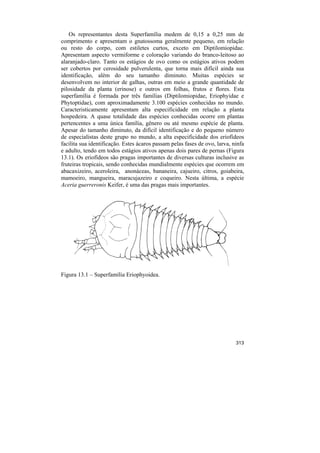 Os representantes desta Superfamília medem de 0,15 a 0,25 mm de
comprimento e apresentam o gnatossoma geralmente pequeno, em relação
ou resto do corpo, com estiletes curtos, exceto em Diptilomiopidae.
Apresentam aspecto vermiforme e coloração variando do branco-leitoso ao
alaranjado-claro. Tanto os estágios de ovo como os estágios ativos podem
ser cobertos por cerosidade pulverulenta, que torna mais difícil ainda sua
identificação, além do seu tamanho diminuto. Muitas espécies se
desenvolvem no interior de galhas, outras em meio a grande quantidade de
pilosidade da planta (erinose) e outros em folhas, frutos e flores. Esta
superfamília é formada por três famílias (Diptilomiopidae, Eriophyidae e
Phytoptidae), com aproximadamente 3.100 espécies conhecidas no mundo.
Caracteristicamente apresentam alta especificidade em relação a planta
hospedeira. A quase totalidade das espécies conhecidas ocorre em plantas
pertencentes a uma única família, gênero ou até mesmo espécie de planta.
Apesar do tamanho diminuto, da difícil identificação e do pequeno número
de especialistas deste grupo no mundo, a alta especificidade dos eriofídeos
facilita sua identificação. Estes ácaros passam pelas fases de ovo, larva, ninfa
e adulto, tendo em todos estágios ativos apenas dois pares de pernas (Figura
13.1). Os eriofídeos são pragas importantes de diversas culturas inclusive as
fruteiras tropicais, sendo conhecidas mundialmente espécies que ocorrem em
abacaxizeiro, aceroleira, anonáceas, bananeira, cajueiro, citros, goiabeira,
mamoeiro, mangueira, maracujazeiro e coqueiro. Nesta última, a espécie
Aceria guerreronis Keifer, é uma das pragas mais importantes.




Figura 13.1 – Superfamília Eriophyoidea.




                                                                            313
 