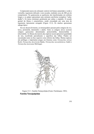 Compreende ácaros de coloração variável, de branco-amarelado a verde e
vermelho, tegumento delicado e sem escudos, medindo cerca de 400 µm de
comprimento. No gnatossoma as quelíceras são transformadas em estiletes
longos e os palpos apresentam uma estrutura unciforme (complexo “unha-
dedão”). Os tarsos terminam geralmente por unhas e empódio. O escudo
genital da fêmea é característico, sendo circundado por uma área de
tegumento tipicamente enrugado (Figura 13.3). Os machos apresentam
edeago típico.
    Em seu desenvolvimento, os tetraniquídeos passam pelos estágios de ovo,
larva, protoninfa, deutoninfa e adulto. Entre os estágios ativos ocorrem
estágios quiescentes denominados protocrisálida, deutocrisálida e
telocrisálida. As fêmeas da maioria das espécies tecem apreciável quantidade
de teia, recobrindo parcialmente a superfície das folhas. Podem ser
encontrados tanto na face superior como inferior das folhas. Muitas espécies
são polífagas e importantes pragas em fruteiras como Tetranychus urticae
Koch, Tetranychus desertorum Banks, Tetranychus neocaledonicus André e
Tetranychus mexicanus McGregor.




      Figura 13.3 – Família Tetranychidae (Fonte: Flechtmann, 1983).
   Família Tenuipalpidae


                                                                        315
 