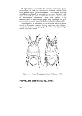 Os representantes desta família são conhecidos como ácaros planos,
medindo entre 250 a 400 µm. Têm coloração geralmente vermelha, pernas
curtas, aneladas, palpos simples formados de 1 a 5 segmentos. A abertura
genital é transversal e pode ser guarnecida por um escudo. O corpo é, via de
regra, ornamentado por estrias ou reticulações. As setas podem ser simples
ou frequentemente ornamentadas (Figura 13.4). Durante o seu
desenvolvimento, os tenuipalpídeos passam pelos estágios de ovo, larva,
protocrisálida, protoninfa, deutocrisálida, deutoninfa, telocrisálida e adulto.
   Entre as espécies de importância agrícola destaca-se o ácaro da leprose
dos citrus, Brevipalpus phoenicis Geijskes, sendo uma praga polífaga e
cosmopolita. É uma das principais pragas dos citrus, sendo responsável por
grandes perdas nesta cultura.




      Figura 13.4 – Família Tenuipalpidae (Fonte: Flechtmann, 1983).



PREPARAÇÃO E MONTAGEM DE ÁCAROS



316
 
