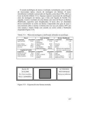 O estudo morfológico de ácaros é realizado, normalmente, com o auxílio
de microscópio óptico, através de montagens em lâminas. O ácaro
inicialmente é coletado e preservado em líquidos, como álccol 70%, AGA ou
Licor de Keifer (Tabela 13.1). Algumas espécies necessitam de clarificação
antes da montagem em lâmina, que é feita com líquido de Nesbitt. Em
seguida, o ácaro é montado em uma lâmina com meio de Hoyer ou Berlese
Modificado, específico para Eriophyoidea. O ácaro deve ser distendido
dorso-ventralmente no centro da lâmina e depositada uma gota de meio e
uma lamínula sobre o mesmo. A lâmina deve ser seca em estufa a 50oC por
uma semana e depois lutada com esmalte ou verniz cristal e finalmente
etiquetada (Figura 13.5).


Tabela 13.1 – Meios de montagem e clarificação utilizados na acarologia.
            Hoyer                       Licor de Keifer                 Berlese Modificado
Composição          Quantidade   Composição           Quantidade   Composição          Quantidade
Água destilada        40 ml      Álcool                 20 ml      Água                   1 ml
                                 Isopropílico
Goma Arábica           30 g      Água destilada         60 ml      Glicerina                  1 ml
Hidrato de Cloral     200 g      Sorbitol                 30 g     Sorbitol                    5g
Glicerina             20 ml      Iodo Metálico         Mínimo      BDTA                        3g
                                 Iodeto de Potássio    Mínimo        (Misturar estes ingredientes e
     Líquido de Nesbitt                       AGA                    adicionar a segunda mistura)
Composição          Quantidade   Composição           Quantidade   Composição            Quantidade
Hidrato de Cloral      40 g      Etanol                240 ml      Água                       7 ml
Água Destilada        25 ml      Ácido A. Glacial       30 ml      Glicerina                  4 ml
Ácido Clorídrico      25 ml      Glicerina              30 ml      Ácido A. Glacial           3 ml
                                 Sorbitol               23.8 g     Hidrato de Cloral          70 g




        Recife- PE                                                        ACTINEDIDA
        28.VI.2000                                                       PHYTOPTIDAE
   Ex: Cocos nucifera                                                   Retracrus johnstoni
 M.G.C. GONDIM Jr.




Figura 13.5 – Esquema de uma lâmina montada.




                                                                                           317
 