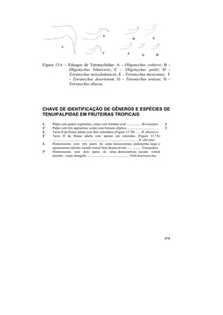 Figura 13.6 – Edeagos de Tetranychidae. A - Oligonychus yothersi; B -
              Oligonychus biharensis; C – Oligonychus psidii; D -
              Tetranychus neocaledonicus; E - Tetranychus mexicanus; F
              - Tetranychus desertorum; G - Tetranychus urticae; H -
              Tetranychus abacae.




CHAVE DE IDENTIFICAÇÃO DE GÊNEROS E ESPÉCIES DE
TENUIPALPIDAE EM FRUTEIRAS TROPICAIS

1.   Palpo com quatro segmentos, corpo com formato oval ................. Brevipalpus                                   2
1’   Palpo com três segmentos, corpo com formato elíptico ....................................                          3
2.   Tarso II da fêmea adulta com dois solenídeos (Figura 13.7B) ...... B. phoenicis
2’   Tarso II da fêmea adulta com apenas um solenídeo (Figura 13.7A)
     .................................................................................................... B. obovatus
3.   Histerossoma com três pares de setas dorsocentrais; podossoma largo e
     opistossoma estreito; escudo rostral bem desenvolvido ................ Tenuipalpus
3’   Histerossoma com dois pares de setas dorsocentrais; escudo rostral
     ausente; corpo alongado ................................................. Dolichotetranychus




                                                                                                                        319
 