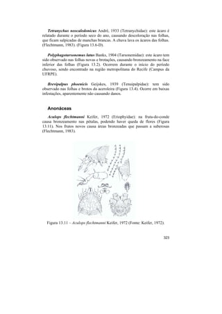 Tetranychus neocaledonicus André, 1933 (Tetranychidae): este ácaro é
relatado durante o período seco do ano, causando descoloração nas folhas,
que ficam salpicadas de manchas brancas. A chuva lava os ácaros das folhas.
(Flechtmann, 1983). (Figura 13.6-D).

   Polyphagotarsonemus latus Banks, 1904 (Tarsonemidae): este ácaro tem
sido observado nas folhas novas e brotações, causando bronzeamento na face
inferior das folhas (Figura 13.2). Ocorrem durante o início do período
chuvoso, sendo encontrado na região metropolitana do Recife (Campus da
UFRPE).

   Brevipalpus phoenicis Geijskes, 1939 (Tenuipalpidae): tem sido
observado nas folhas e brotos da aceroleira (Figura 13.4). Ocorre em baixas
infestações, aparentemente não causando danos.


   Anonáceas
   Aculops flechtmanni Keifer, 1972 (Eriophyidae): na fruta-do-conde
causa bronzeamento nas pétalas, podendo haver queda de flores (Figura
13.11). Nos frutos novos causa áreas bronzeadas que passam a suberosas
(Flechtmann, 1983).




  Figura 13.11 – Aculops flechtmanni Keifer, 1972 (Fonte: Keifer, 1972).


                                                                       323
 