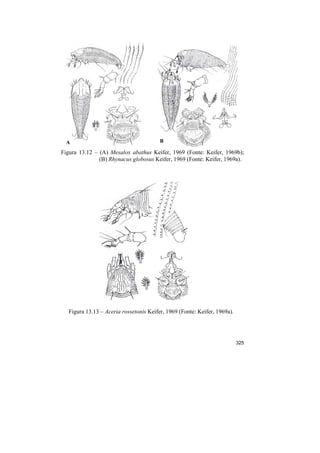 A                                      B

Figura 13.12 – (A) Mesalox abathus Keifer, 1969 (Fonte: Keifer, 1969b);
               (B) Rhynacus globosus Keifer, 1969 (Fonte: Keifer, 1969a).




   Figura 13.13 – Aceria rossetonis Keifer, 1969 (Fonte: Keifer, 1969a).




                                                                           325
 