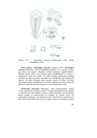 Figura   13.15     – Tegolophus brunneus     Flechtmann,   1999    (Fonte:
                 (Flechtmann, 1999).

   Ácaros planos - Brevipalpus phoenicis Geijskes, 1939 e Brevipalpus
obovatus Donnadieu, 1875 (Tenuipalpidae) (Figura 13.7): atacam as gemas
que ficam com aspecto enrugado e podem apresentar superbrotamento.
Quando atacam hastes novas podem causar fendilhamento no cortex, e
consequente morte dos tecidos. As folhas atacadas apresentam manchas
cloróticas de aspecto circular, que podem ser confundidos com sintomas da
leprose. Em altas infestações pode acarretar queda de folhas. Os frutos
apresentam manchas semelhantes as da folha e podem associar-se a lesões da
leprose. É uma das principais pragas dos citros (Flechtmann, 1983).

   Tetranychus mexicanus McGregor, 1950 (Tetranychidae) (Figura
13.6E): apresentam coloração variável, vermelho alaranjado intenso, quando
se desenvolvem sobre folhas de lima e verde-pardacento com pontuações
pretas, quando se desenvolvem em laranjas. As formas jovens são
geralmente esverdeadas com manchas escuras. Desenvolve-se geralmente na
face inferior das folhas mais novas, as quais tornam-se levemente curvadas

                                                                      327
 