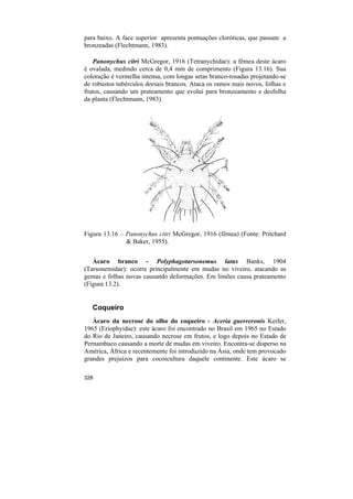 para baixo. A face superior apresenta pontuações cloróticas, que passam a
bronzeadas (Flechtmann, 1983).

   Panonychus citri McGregor, 1916 (Tetranychidae): a fêmea deste ácaro
é ovalada, medindo cerca de 0,4 mm de comprimento (Figura 13.16). Sua
coloração é vermelha intensa, com longas setas branco-rosadas projetando-se
de robustos tubérculos dorsais brancos. Ataca os ramos mais novos, folhas e
frutos, causando um prateamento que evolui para bronzeamento e desfolha
da planta (Flechtmann, 1983).




Figura 13.16 – Panonychus citri McGregor, 1916 (fêmea) (Fonte: Pritchard
               & Baker, 1955).


   Ácaro branco - Polyphagotarsonemus latus Banks, 1904
(Tarsonemidae): ocorre principalmente em mudas no viveiro, atacando as
gemas e folhas novas causando deformações. Em limões causa prateamento
(Figura 13.2).


   Coqueiro
   Ácaro da necrose do olho do coqueiro - Aceria guerreronis Keifer,
1965 (Eriophyidae): este ácaro foi encontrado no Brasil em 1965 no Estado
do Rio de Janeiro, causando necrose em frutos, e logo depois no Estado de
Pernambuco causando a morte de mudas em viveiro. Encontra-se disperso na
América, África e recentemente foi introduzido na Ásia, onde tem provocado
grandes prejuízos para cocoicultura daquele continente. Este ácaro se

328
 