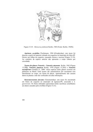 Figura 13.18 – Retracrus jonhstoni Keifer, 1965 (Fonte: Keifer, 1965b).


   Amrineus cocofolius Flechtmann, 1994 (Eriophyidae): este ácaro foi
descrito a partir de material coletado em coqueiros no município de Jales-SP.
Ocorre nas folhas do coqueiro, causando clorose e necrose (Figura 13.19).
Ao contrário da espécie anterior não apresenta o corpo coberto por
cerosidade.

    Ácaros do gênero Notostrix - Notostrix attenuata Keifer, 1963 (Figura
13.20B), Notostrix jamaicae Keifer, 1970 (Figura 13.20A) e Notostrix
nasutiformes Gondim Jr., 2000: várias espécies deste gênero ocorrem em
palmeiras no Brasil. Estes ácaros são característicos por secretarem cera
lateralmente ao corpo, em forma de placas. Aparentemente não causam
danos às plantas e não são verificados em altas infestações.

   Steneotarsonemus furcatus (Tarsonemidae): este ácaro foi encontrado
em frutos do coqueiro no município de Igarassu-PE, associado a A.
guerreronis. Os frutos infestados apresentam lesões necróticas semelhantes
aos danos causados pelo eriofídeo (Figura 13.21).




330
 