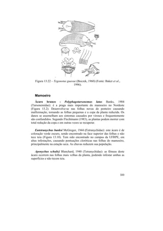 .
   Figura 13.22 – Tegonotus guavae (Boczek, 1960) (Fonte: Baker et al.,
                                 1996).


   Mamoeiro
    Ácaro branco - Polyphagotarsonemus latus Banks, 1904
(Tarsonemidae): é a praga mais importante do mamoeiro no Nordeste
(Figura 13.2). Desenvolve-se nas folhas novas do ponteiro causando
malformação, tornando as folhas pequenas e a copa da planta reduzida. Os
danos se assemelham aos sintomas causados por viroses e frequentemente
são confundidos. Segundo Flechtmann (1983), as plantas podem morrer com
total redução da copa e em outras vezes se recuperar.

    Eutetranychus banksi McGregor, 1944 (Tetranychidae): este ácaro é de
coloração verde escuro, sendo encontrado na face superior das folhas e não
tece teia (Figura 13.10). Tem sido encontrado no campus da UFRPE, em
altas infestações, causando pontuações cloróticas nas folhas do mamoeiro,
principalmente na estação seca. As chuvas reduzem sua população.

   Aponychus schultzi Blanchard, 1940 (Tetranychidae): as fêmeas deste
ácaro ocorrem nas folhas mais velhas da planta, podendo infestar ambas as
superfícies e não tecem teia.




                                                                          333
 