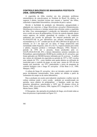 CONTROLE BIOLÓGICO DE MAHANARVA POSTICATA
(HEM., CERCOPIDAE)
   A cigarrinha da folha constitui um dos principais problemas
entomológicos da cana-de-açúcar no Nordeste do Brasil. Os adultos, ao
sugarem a planta, inoculam toxinas que causam a “queima” das folhas,
reduzindo a capacidade fotossintética, com perdas de peso e açúcar.
    Devido à facilidade de produção em laboratório, patogenicidade e
adaptação nos canaviais, o fungo Metarhizium anisopliae (Deuteromyceto,
Moniliaceae) revelou-se o inimigo natural mais eficiente contra a cigarrinha
da folha. Esse entomopatógeno é produzido em laboratório utilizando-se
arroz cozido em sacos de polipropileno. O êxito do controle depende, dentre
outros aspectos, do isolado, quantidade de conídios e das condições
ambientais por ocasião da aplicação. Do material produzido pelo ex-
PLANALSUCAR ou por laboratórios que utilizem metodologia afim,
recomendam-se 5 x 1012 conídios por ha em 100 a 200 litros de água por via
terrestre, ou 25 l de água por via aérea. O fungo proporciona uma
mortalidade média frequente, entre 25 a 43,5 %, respectivamente para ninfas
e adultos, enquanto perdurar a infestação (Marques, 1992). Durante o
período de 1970 até o presente, foram produzidos pelo ex-
IAA/PLANALSUCAR, IPA e demais laboratórios setoriais instalados em
Pernambuco, aproximadamente 40.000 kg de conídios de M. anisopliae, que
foram aplicados em 500.000 hectares infestados por M. posticata. A análise
dos valores de infestação da cigarrinha no período de 1977 a 1987, revelou
uma redução de 72% , como também uma queda drástica na utilização de
inseticidas para o controle da praga, ou seja, para menos de 10% da área
tratada com inseticida em 1971, praticamente o início do programa de
controle biológico com o fungo M. anisopliae (Vilas Boas et al., 1988;
Marques, 1992).
   A cultura do fungo M. anisopliae deve ser iniciada a partir de isolados
puros devidamente caracterizados. Estes podem ser obtidos a partir de
isolamentos de campo ou de outros laboratórios.
   Para a produção em escala semi-industrial, atualmente o melhor meio de
cultura continua sendo o arroz cozido, podendo ser acondicionado em
garrafas, sacos plástico de polipropileno e bandejas, sendo nas duas
primeiras alternativas, autoclavados a 120oC por 30 minutos (Alves &
Pereira, 1989; Alves & Pereira, 1998; Aquino,1977; Guagliumi et al., 1974;
Moino Junior, 2000).
   O fluxograma das operações de produção do fungo, envolvendo todas as
fases do processo é apresentado na Figura 14.1.




352
 