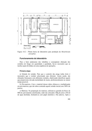 Figura 14.2 – Planta baixa de laboratório para produção de Metarhizium
              anisopliae.

   Funcionamento do laboratório
    Para o bom andamento dos trabalhos e conseqüente obtenção dos
conídios do fungo em quantidade e qualidade, faz-se necessário que as
tarefas sejam divididas em uma seqüência de operações.

   Primeira etapa
   a) Seleção do isolado. Para que o controle das praga tenha êxito é
necessário que o isolado selecionado seja eficiente. Assim sendo, são
efetuados bioensaios com diferentes isolados, objetivando identificar aquele
que proporcione elevada mortalidade do inseto, preferencialmente no menor
tempo possível;
   b) Pré-matrizes. Com o material desses tubos efetua-se a multiplicação
em pré-matrizes, que são tubos contendo aquele isolado inicial com 100% de
pureza;
   c) Matrizes. Na preparação de matrizes, utilizam-se garrafas de Roux de
800 ml, previamente esterilizadas, onde são colocados 100g de arroz e 80 ml
de água destilada, fechando-as com papel alumínio e fita adesiva. Após a

                                                                        355
 