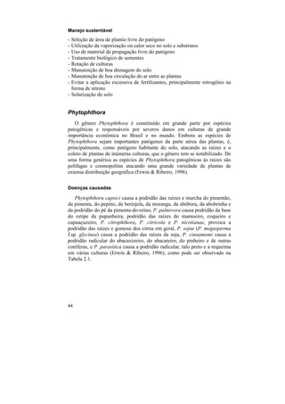 Manejo sustentável
- Seleção de área de plantio livre do patógeno
- Utilização da vaporização ou calor seco no solo e substratos
- Uso de material de propagação livre do patógeno
- Tratamento biológico de sementes
- Rotação de culturas
- Manutenção de boa drenagem do solo
- Manutenção de boa circulação do ar entre as plantas
- Evitar a aplicação excessiva de fertilizantes, principalmente nitrogênio na
  forma de nitrato
- Solarização do solo


Phytophthora
   O gênero Phytophthora é constituído em grande parte por espécies
patogênicas e responsáveis por severos danos em culturas de grande
importância econômica no Brasil e no mundo. Embora as espécies de
Phytophthora sejam importantes patógenos da parte aérea das plantas, é,
principalmente, como patógeno habitante do solo, atacando as raízes e o
coleto de plantas de inúmeras culturas, que o gênero tem se notabilizado. De
uma forma genérica as espécies de Phytophthora patogênicas às raízes são
polífagas e cosmopolitas atacando uma grande variedade de plantas de
extensa distribuição geográfica (Erwin & Ribeiro, 1996).

Doenças causadas

    Phytophthora capsici causa a podridão das raízes e murcha do pimentão,
da pimenta, do pepino, da berinjela, da moranga, da abóbora, da abobrinha e
da podridão do pé da pimenta-do-reino, P. palmivora causa podridão da base
do estipe da pupunheira, podridão das raízes do mamoeiro, coqueiro e
cupuaçuzeiro, P. citrophthora, P. citricola e P. nicotianae, provoca a
podridão das raízes e gomose dos citrus em geral, P. sojae (P. megasperma
f.sp. glycinea) causa a podridão das raízes da soja, P. cinnamomi causa a
podridão radicular do abacaxizeiro, do abacateiro, do pinheiro e de outras
coníferas, e P. parasitica causa a podridão radicular, talo preto e a requeima
em várias culturas (Erwin & Ribeiro, 1996), como pode ser observado na
Tabela 2.1.




44
 