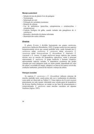Manejo sustentável
- Seleção de área de plantio livre do patógeno
- Termoterapia
- Solarização do solo
- Utilização de variedades resistentes
- Rotação de culturas
- Uso de antibióticos (penicilina, estreptomicina e oxitetraciclina +
  estreptomicina)
- Controle biológico da galha, usando isolados não patogênicos de A.
  radiobacter
- Remoção e destruição de plantas infectadas
- Destruição dos restos culturais


Erwinia
   O gênero Erwinia é dividido basicamente nos grupos carotovora,
amylovora e herbicola (Pérombelon, 1992). O grupo carotovora tem espécies
bioquimicamente ativas que causam podridão mole, sendo formado por E.
carotovora subsp. carotovora, E. carotovora subsp. atroseptica, E.
carotovora subsp. betavasculorum, E. chrysanthemi, E. rhapontici, E.
cypripedii e E. ananas. O grupo amylovora possui espécies que causam
necrose seca ou murcha em hospedeiros específicos, sendo a principal
representante E. amylovora. O grupo herbícola é bastante complexo,
aprersentando espécies variadas. A importância econômica das perdas
causadas por esses patógenos pode ser muito grande, dependendo do valor
da cultura, severidade do ataque, subspécie ou patovar da espécie envolvida,
condições ambientais, potencial de inóculo e manejo da cultura.


Doenças causadas

   As espécies E. carotovora e E. chrysanthemi induzem sintomas de
murcha, podridão mole, canela preta, talo oco e tombamento de plântulas,
como pode ser observado na Tabela 2.1. Estas espécies de Erwinia ocorrem
praticamente em todo mundo, infectando uma variada gama de hospedeiros
de diversas famílias botânicas, no campo ou nas fases de armazenamento e
comercialização. E. amylovora causa murchas vasculares em algumas
frutíferas (Agrios, 1997).




54
 