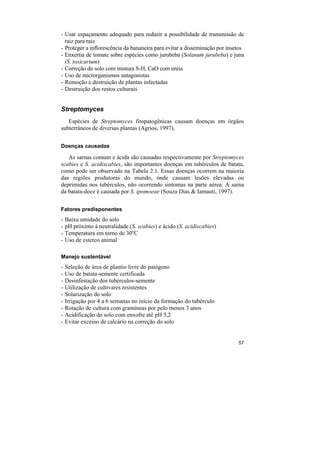- Usar espaçamento adequado para reduzir a possibilidade de transmissão de
  raiz para raiz
- Proteger a inflorescência da bananeira para evitar a disseminação por insetos
- Enxertia de tomate sobre espécies como jurubeba (Solanum jurubeba) e juna
  (S. toxicarium)
- Correção do solo com mistura S-H, CaO com uréia
- Uso de microrganismos antagonistas
- Remoção e destruição de plantas infectadas
- Destruição dos restos culturais


Streptomyces
   Espécies de Streptomyces fitopatogênicas causam doenças em órgãos
subterrâneos de diversas plantas (Agrios, 1997).


Doenças causadas

   As sarnas comum e ácida são causadas respectivamente por Streptomyces
scabies e S. acidiscabies, são importantes doenças em tubérculos de batata,
como pode ser observado na Tabela 2.1. Essas doenças ocorrem na maioria
das regiões produtoras do mundo, onde causam lesões elevadas ou
deprimidas nos tubérculos, não ocorrendo sintomas na parte aérea. A sarna
da batata-doce é causada por S. ipomoeae (Souza Dias & Iamauti, 1997).

Fatores predisponentes
-   Baixa umidade do solo
-   pH próximo à neutralidade (S. scabies) e ácido (S. acidiscabies)
-   Temperatura em torno de 30oC
-   Uso de esterco animal

Manejo sustentável
-   Seleção de área de plantio livre do patógeno
-   Uso de batata-semente certificada
-   Desinfestação dos tubérculos-semente
-   Utilização de cultivares resistentes
-   Solarização do solo
-   Irrigação por 4 a 6 semanas no início da formação do tubérculo
-   Rotação de cultura com gramíneas por pelo menos 3 anos
-   Acidificação do solo com enxofre até pH 5,2
-   Evitar excesso de calcário na correção do solo


                                                                            57
 