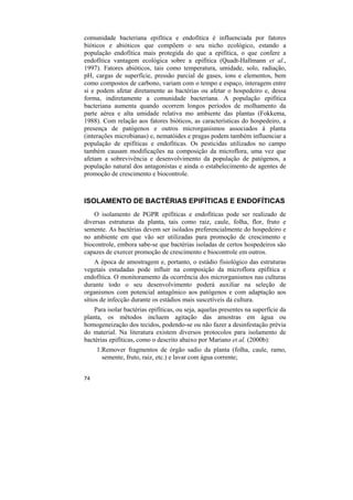 comunidade bacteriana epifítica e endofítica é influenciada por fatores
bióticos e abióticos que compõem o seu nicho ecológico, estando a
população endofítica mais protegida do que a epifítica, o que confere a
endofítica vantagem ecológica sobre a epifítica (Quadt-Hallmann et al.,
1997). Fatores abióticos, tais como temperatura, umidade, solo, radiação,
pH, cargas de superfície, pressão parcial de gases, íons e elementos, bem
como compostos de carbono, variam com o tempo e espaço, interagem entre
si e podem afetar diretamente as bactérias ou afetar o hospedeiro e, dessa
forma, indiretamente a comunidade bacteriana. A população epifítica
bacteriana aumenta quando ocorrem longos períodos de molhamento da
parte aérea e alta umidade relativa mo ambiente das plantas (Fokkema,
1988). Com relação aos fatores bióticos, as características do hospedeiro, a
presença de patógenos e outros microrganismos associados à planta
(interações microbianas) e, nematóides e pragas podem também influenciar a
população de epifíticas e endofíticas. Os pesticidas utilizados no campo
também causam modificações na composição da microflora, uma vez que
afetam a sobrevivência e desenvolvimento da população de patógenos, a
população natural dos antagonistas e ainda o estabelecimento de agentes de
promoção de crescimento e biocontrole.



ISOLAMENTO DE BACTÉRIAS EPIFÍTICAS E ENDOFÍTICAS
    O isolamento de PGPR epifíticas e endofíticas pode ser realizado de
diversas estruturas da planta, tais como raiz, caule, folha, flor, fruto e
semente. As bactérias devem ser isolados preferencialmente do hospedeiro e
no ambiente em que vão ser utilizadas para promoção de crescimento e
biocontrole, embora sabe-se que bactérias isoladas de certos hospedeiros são
capazes de exercer promoção de crescimento e biocontrole em outros.
     A época de amostragem e, portanto, o estádio fisiológico das estruturas
vegetais estudadas pode influir na composição da microflora epifítica e
endofítica. O monitoramento da ocorrência dos microrganismos nas culturas
durante todo o seu desenvolvimento poderá auxiliar na seleção de
organismos com potencial antagônico aos patógenos e com adaptação aos
sítios de infecção durante os estádios mais suscetíveis da cultura.
    Para isolar bactérias epifíticas, ou seja, aquelas presentes na superfície da
planta, os métodos incluem agitação das amostras em água ou
homogeneização dos tecidos, podendo-se ou não fazer a desinfestação prévia
do material. Na literatura existem diversos protocolos para isolamento de
bactérias epifíticas, como o descrito abaixo por Mariano et al. (2000b):
     1.Remover fragmentos de órgão sadio da planta (folha, caule, ramo,
       semente, fruto, raiz, etc.) e lavar com água corrente;


74
 