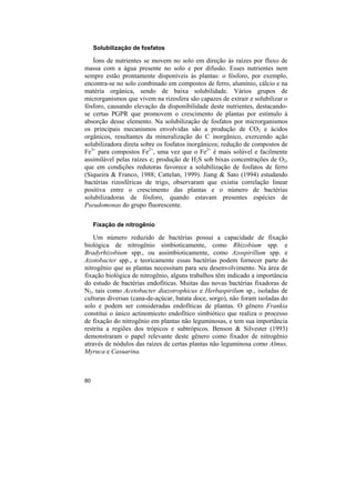 Solubilização de fosfatos

   Íons de nutrientes se movem no solo em direção às raízes por fluxo de
massa com a água presente no solo e por difusão. Esses nutrientes nem
sempre estão prontamente disponíveis às plantas: o fósforo, por exemplo,
encontra-se no solo combinado em compostos de ferro, alumínio, cálcio e na
matéria orgânica, sendo de baixa solubilidade. Vários grupos de
microrganismos que vivem na rizosfera são capazes de extrair e solubilizar o
fósforo, causando elevação da disponibilidade deste nutrientes, destacando-
se certas PGPR que promovem o crescimento de plantas por estímulo à
absorção desse elemento. Na solubilização de fosfatos por microrganismos
os principais mecanismos envolvidas são a produção de CO2 e ácidos
orgânicos, resultantes da mineralização do C inorgânico, exercendo ação
solubilizadora direta sobre os fosfatos inorgânicos; redução de compostos de
Fe3+ para compostos Fe2+, uma vez que o Fe2+ é mais solúvel e facilmente
assimilável pelas raízes e; produção de H2S sob bixas concentrações de O2,
que em condições redutoras favorece a solubilização de fosfatos de ferro
(Siqueira & Franco, 1988; Cattelan, 1999). Jiang & Sato (1994) estudando
bactérias rizosféricas de trigo, observaram que existia correlação linear
positiva entre o crescimento das plantas e o número de bactérias
solubilizadoras de fósforo, quando estavam presentes espécies de
Pseudomonas do grupo fluorescente.

     Fixação de nitrogênio

    Um número reduzido de bactérias possui a capacidade de fixação
biológica de nitrogênio simbioticamente, como Rhizobium spp. e
Bradyrhizobium spp., ou assimbioticamente, como Azospirillum spp. e
Azotobacter spp., e teoricamente essas bactérias podem fornecer parte do
nitrogênio que as plantas necessitam para seu desenvolvimento. Na área de
fixação biológica de nitrogênio, alguns trabalhos têm indicado a importância
do estudo de bactérias endofíticas. Muitas das novas bactérias fixadoras de
N2, tais como Acetobacter diazotrophicus e Herbaspirilum sp., isoladas de
culturas diversas (cana-de-açúcar, batata doce, sorgo), não foram isoladas do
solo e podem ser consideradas endofíticas de plantas. O gênero Frankia
constitui o único actinomiceto endofítico simbiótico que realiza o processo
de fixação do nitrogênio em plantas não leguminosas, e tem sua importância
restrita a regiões dos trópicos e subtrópicos. Benson & Silvester (1993)
demonstraram o papel relevante deste gênero como fixador de nitrogênio
através de nódulos das raízes de certas plantas não leguminosa como Almus,
Myruca e Casuarina.



80
 