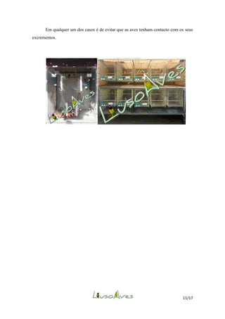 Em qualquer um dos casos é de evitar que as aves tenham contacto com os seus
excrementos.

11/17

 