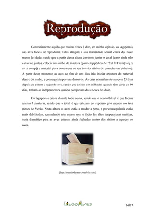 Contrariamente aquilo que muitas vezes é dito, em minha opinião, os Agapornis
são aves fáceis de reproduzir. Estes atingem a sua maturidade sexual cerca dos nove
meses de idade, sendo que a partir dessa altura devemos juntar o casal (caso ainda não
estivesse junto), colocar um ninho de madeira (paralelepipédico de 25x15x15cm [larg x
alt x comp]) e material para colocarem no seu interior (folha de palmeira ou pinheiro).
A partir deste momento as aves ao fim de uns dias irão iniciar apostura do material
dentro do ninho, e consequente postura dos ovos. As crias normalmente nascem 23 dias
depois de porem o segundo ovo, sendo que devem ser anilhadas quando têm cerca de 10
dias, tornam-se independentes quando completam dois meses de idade.
Os Agapornis criam durante todo o ano, sendo que o aconselhável é que façam
apenas 3 posturas, sendo que o ideal é que estejam em repouso pelo menos nos três
meses de Verão. Nesta altura as aves estão a mudar a pena, e por consequência estão
mais debilitadas, acumulando este aspeto com o facto das altas temperaturas sentidas,
seria dramático para as aves estarem ainda fechadas dentro dos ninhos a aquecer os
ovos.

[http://mundodasaves.weebly.com]

14/17

 