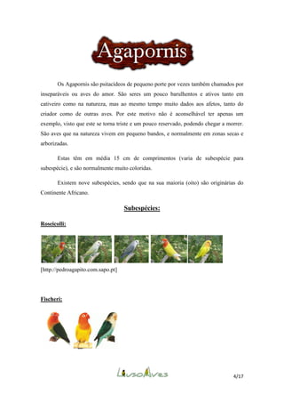 Os Agapornis são psitacídeos de pequeno porte por vezes também chamados por
inseparáveis ou aves do amor. São seres um pouco barulhentos e ativos tanto em
cativeiro como na natureza, mas ao mesmo tempo muito dados aos afetos, tanto do
criador como de outras aves. Por este motivo não é aconselhável ter apenas um
exemplo, visto que este se torna triste e um pouco reservado, podendo chegar a morrer.
São aves que na natureza vivem em pequeno bandos, e normalmente em zonas secas e
arborizadas.
Estas têm em média 15 cm de comprimentos (varia de subespécie para
subespécie), e são normalmente muito coloridas.
Existem nove subespécies, sendo que na sua maioria (oito) são originárias do
Continente Africano.

Subespécies:
Roseicolli:

[http://pedroagapito.com.sapo.pt]

Fischeri:

4/17

 