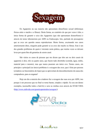 Os Agapornis na sua maioria não apresentam dimorfismo sexual (diferenças
físicas entre o macho e a fêmea). Desta forma, ao contrário do que por vezes é dito, a
única forma de garantir o sexo dos Agapornis (que não apresentam dismorfismo) é
através de testes laboratoriais por ADN ou Endoscopia. Isto, partindo do pressuposto
que as aves em questão nunca reproduziram. Desta forma, excetuando nos casos
anteriormente ditos, ninguém pode garantir se as aves são macho ou fêmea. Este é um
dos grandes problemas de quem é iniciante nesta prática, que muitas vezes se deixam
levar por quem lhes dá garantias de serem casal.
São vários os casos de pessoas que me dizem que têm um ou dois casais de
agapornis à dois, três ou quatro anos, que fazem tudo direitinho (comida, água, ninho,
material para o mesmo), mas que nunca puseram um único ovo. Nestes casos, em
princípio o principal (ou único) problema é a sexagem das aves, que é feita por pessoas
(criadores ou funcionários de lojas) que se aproveitam do desconhecimento de causa dos
compradores, para os enganar!
Hoje em dia a maioria dos criadores faz a sexagem das suas aves por ADN, isto
porque é um processo que no final se torna barato, simples e rápido. Eu sou um destes
exemplos, (aconselho todos a fazê-lo) e sexo as minhas aves através da STAB VIDA
(http://www.stabvida.com/geneticaparatodos/sexagem/).

9/17

 