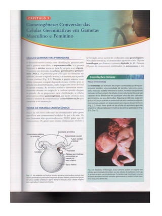 Embriologia capitulo