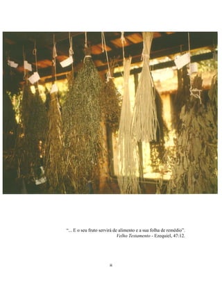 “... E o seu fruto servirá de alimento e a sua folha de remédio”.
Velho Testamento - Ezequiel, 47:12.
iii
 