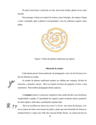 Na parte mais baixa e próxima ao solo, local mais úmido, plante ervas como
hortelã.
Para proteger a horta em espiral de insetos como formigas, dos pingos d’água
e reter a umidade, após o plantio é recomendado o uso de cobertura vegetal, como
palha.
Figura 1: Horta de plantas medicinais em espiral
Obtenção de mudas
Cada planta possui forma particular de propagação e por isto há diversos mo-
dos de obterem-se mudas.
As mudas de plantas medicinais podem ser obtidas por estaquia, divisão de
touceiras e sementes viáveis. Deve-se manter na horta um pequeno viveiro e uma
sementeira. Para melhor propagação destas espécies.
A estaquia (ramo) é o processo vegetativo mais usado devido a sua eficiência,
simplicidade e rapidez. É reprodução de vegetal a partir da planta matriz, produzin-
do mais rápido e indivíduos semelhantes à planta mãe.
Deve-se escolher um ramo novo com 5 a 10 cm sem sinais de doenças. Cor-
tar as estacas de ramo com tesoura de poda, a parte que será enterrada em forma in-
clinada (bisel) e o ápice reto. Não deve possuir botões florais. As estacas devem ser
43
 