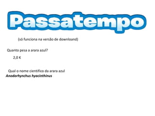 Quanto pesa a arara azul?
Anodorhynchus hyacinthinus
(só funciona na versão de downloand)
2,0 K
Qual o nome cientifico da arara azul
 