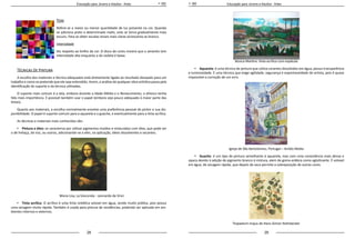 28 29
Educação para Jovens e Adultos - Artes Educação para Jovens e Adultos - Artes
Tom
Refere-se a maior ou menor quantidade de luz presente na cor. Quando
se adiciona preto a determinado matiz, este se torna gradualmente mais
escuro. Para se obter escalas tonais mais claras acrescenta-se branco.   
Intensidade
Diz respeito ao brilho da cor. O disco de cores mostra que o amarelo tem
intensidade alta enquanto a do violeta é baixa.   
Técnicas De Pintura
A escolha dos materiais e técnica adequados está diretamente ligada ao resultado desejado para um
trabalho e como se pretende que ele seja entendido. Assim, a análise de qualquer obra artística passa pela
identificação do suporte e da técnica utilizadas.
O suporte mais comum é a tela, embora durante a Idade Média e o Renascimento, o afresco tenha
tido mais importância. É possível também usar o papel (embora seja pouco adequado à maior parte das
tintas).
Quanto aos materiais, a escolha normalmente envolve uma preferência pessoal do pintor e sua dis-
ponibilidade. O papel é suporte comum para a aquarela e o guache, e eventualmente para a tinta acrílica.
As técnicas e materiais mais conhecidos são:
•	 Pintura a óleo: se caracteriza por utilizar pigmentos moídos e misturados com óleo, que pode ser
o de linhaça, de noz, ou outros, adicionando-se a eles, na aplicação, óleos dissolventes e secantes.
Mona Lisa, La Gioconda - Leonardo da Vinci
•	 Tinta acrílica: O acrílico é uma tinta sintética solúvel em água, sendo muito prática, pois possui
uma secagem muito rápida. Também é usada para pintura de residências, podendo ser aplicada em am-
bientes internos e externos.
Jéssica Martins: tinta acrílica com espátula
•	 Aquarela: é uma técnica de pintura que utiliza corantes dissolvidos em água, possui transparência
e luminosidade. É uma técnica que exige agilidade, segurança e espontaneidade do artista, pois é quase
impossível a correção de um erro.
Igreja de São Bartolomeu, Portugal – Anildo Motta
•	 Guache: é um tipo de pintura semelhante à aquarela, mas com uma consistência mais densa e
opaca devido à adição de pigmento branco à mistura, alem de goma-arábica como aglutinante. É solúvel
em água, de secagem rápida, que depois de seca permite a sobreposição de outras cores.
Tropaelum majus de Hans-Simon Holtzbecker
 