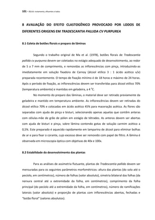 101 - ÁGUA: tratamento, efluentes e lodos
8 AVALIAÇÃO DO EFEITO CLASTOGÊNICO PROVOCADO POR LODOS DE
DIFERENTES ORIGENS EM TRADESCANTIA PALLIDA CV PURPUREA
8.1 Coleta de botões florais e preparo de lâminas
Segundo o trabalho original de Ma et al. (1978), botões florais de Tradescantia
pallida cv purpurea devem ser coletados no estágio adequado de desenvolvimento, ao redor
de 5 a 7 mm de comprimento, e removidas as inflorescências com pinça, introduzindo-as
imediatamente em solução fixadora de Carnoy (álcool etílico 3 : 1 ácido acético v/v)
preparada recentemente. O tempo de fixação mínimo é de 18 horas e máximo de 24 horas.
Após o período de fixação, as inflorescências devem ser transferidas para álcool etílico 70%
(temperatura ambiente) e mantidas em geladeira, a 4 o
C.
No momento do preparo das lâminas, o material deve ser retirado previamente da
geladeira e mantido em temperatura ambiente. As inflorescências devem ser retiradas do
álcool etílico 70% e colocadas em ácido acético 45% para maceração acética. As flores são
separadas com ajuda de pinça e bisturi, selecionando apenas aquelas que contêm anteras
com células-mãe de grão de pólen em estágio de tétrades. As anteras devem ser abertas
com ajuda de bisturi e pinça, sobre lâmina contendo gotas de solução carmim acético a
0,5%. Este preparado é aquecido rapidamente em lamparina de álcool para eliminar bolhas
de ar e para fixar o corante, cujo excesso deve ser removido com papel de filtro. A lâmina é
observada em microscopia óptica com objetivas de 40x e 100x.
8.2 Estabilidade do desenvolvimento das plantas
Para as análises de assimetria flutuante, plantas de Tradescantia pallida devem ser
mensuradas para os seguintes parâmetros morfométricos: altura das plantas (do solo até o
pecíolo, em centímetros), número de folhas (valor absoluto), simetria bilateral das folhas (da
nervura central até a extremidade da folha, em centímetros), comprimento da folha
principal (do pecíolo até a extremidade da folha, em centímetros), número de ramificações
laterais (valor absoluto) e proporção de plantas com inflorescências abertas, fechadas e
“botão floral” (valores absolutos).
 