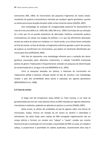 97 - ÁGUA: tratamento, efluentes e lodos
estressantes (MA, 1983). Os micronúcleos são pequenos fragmentos do núcleo celular,
resultantes de quebras cromossômicas induzidas por qualquer agente genotóxico, quando
as células precursoras de grãos de pólen estão na fase inicial da meiose (SAVÓIA, 2007).
Esta metodologia de avaliação de mutagenicidade potencial foi desenvolvida há
mais de trinta anos (MA et al., 1978; MA, 1983; MA et al., 1994). O princípio de sua utilização
foi o fato que há um grande predomínio de aberrações meióticas envolvendo quebras
cromossômicas em células nos estágios de prófases I e II, que são dificilmente detectadas
através da análise de células em metáfase I e II. Assim sendo, se as células forem analisadas
ao final da meiose, na fase de tétrade, os fragmentos acêntricos gerados a partir dos eventos
de quebras se transformam em micronúcleos, que podem ser facilmente identificados por
microscopia ótica (CARVALHO, 2005).
Pelo fato de representar uma metodologia eficiente para a avaliação dos danos
genéticos provocados pelos diferentes tratamentos, o método Trad-MCN envolvendo
plantas do gênero Tradescantia é frequentemente utilizado em pesquisas de determinação
da contaminação do ar, da água e do solo (MONARCA et al., 2002).
Entre as pesquisas baseadas em plantas, o bioensaio de micronúcleo em
Tradescantia pallida é bastante utilizado devido ao fato de constituir uma metodologia
simples e pela alta sensibilidade desta planta à exposição aos agentes genotóxicos
(BREGAGNOLO et al., 2008).
6.2 Teste do cometa
O Single Cell Gel Etrophoresis Assay (SCGE) ou Teste Cometa, é um teste de
genotoxicidade que tem por meta detectar danos ao DNA induzidos por agentes alquilantes,
intercalantes e oxidantes, podendo ser aplicado em plantas ou animais (PIAZZA, 2007).
Neste ensaio, as células são embebidas em gel de agarose sobre uma lâmina de
microscópio, lisadas, imersas em tampão de pH neutro ou alcalino e submetidas à
eletroforese. Da célula lisada saem cadeias de DNA carregadas negativamente sob um
campo elétrico e formam um cometa com “cabeça” e “cauda”, corados por corante
fluorescente para visualização em microscópio. A quantidade de DNA na cauda, em relação à
cabeça, é proporcional à quantidade de cadeias quebradas, caracterizando dano tipo 0
 