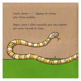 Livro - A Zebra Camila