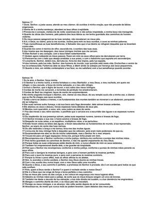 Livro   bíblia sagrada