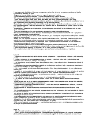 Livro   bíblia sagrada