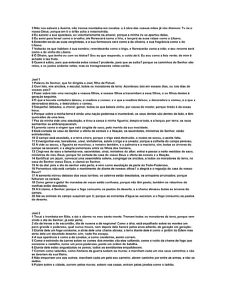 Livro   bíblia sagrada