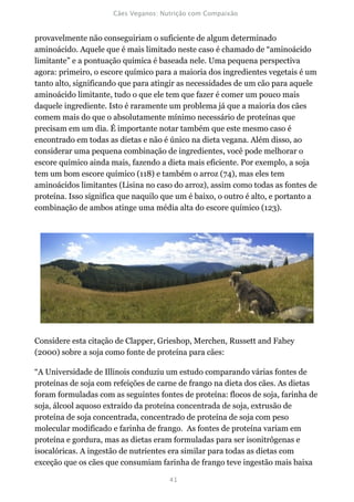 provavelmente não conseguiriam o suficiente de algum determinado
aminoácido. Aquele que é mais limitado neste caso é chamado de “aminoácido
limitante” e a pontuação química é baseada nele. Uma pequena perspectiva
agora: primeiro, o escore químico para a maioria dos ingredientes vegetais é um
tanto alto, significando que para atingir as necessidades de um cão para aquele
aminoácido limitante, tudo o que ele tem que fazer é comer um pouco mais
daquele ingrediente. Isto é raramente um problema já que a maioria dos cães
comem mais do que o absolutamente mínimo necessário de proteínas que
precisam em um dia. É importante notar também que este mesmo caso é
encontrado em todas as dietas e não é único na dieta vegana. Além disso, ao
considerar uma pequena combinação de ingredientes, você pode melhorar o
escore químico ainda mais, fazendo a dieta mais eficiente. Por exemplo, a soja
tem um bom escore químico (118) e também o arroz (74), mas eles tem
aminoácidos limitantes (Lisina no caso do arroz), assim como todas as fontes de
proteína. Isso significa que naquilo que um é baixo, o outro é alto, e portanto a
combinação de ambos atinge uma média alta do escore químico (123).




Considere esta citação de Clapper, Grieshop, Merchen, Russett and Fahey
(2000) sobre a soja como fonte de proteína para cães:

“A Universidade de Illinois conduziu um estudo comparando várias fontes de
proteínas de soja com refeições de carne de frango na dieta dos cães. As dietas
foram formuladas com as seguintes fontes de proteína: flocos de soja, farinha de
soja, álcool aquoso extraído da proteína concentrada de soja, extrusão de
proteína de soja concentrada, concentrado de proteína de soja com peso
molecular modificado e farinha de frango. As fontes de proteína variam em
proteína e gordura, mas as dietas eram formuladas para ser isonitrôgenas e
isocalóricas. A ingestão de nutrientes era similar para todas as dietas com
exceção que os cães que consumiam farinha de frango teve ingestão mais baixa
 