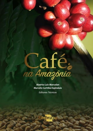 Irrigação com nitrogênio em produção de café conilon - Revista