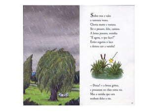 Livro - Carona na vassoura