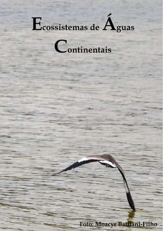 ECOSSISTEMAS DE ÁGUAS CONTINENTAIS 
Ecossistemas de Águas 
Ecologia de campo: abordagens no mar, na terra e em águas continentais 
PPG Ecologia UFSC 2013 
Continentais 
159 
Foto: Moacyr Batilani-Filho 
 